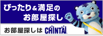 CHINTAI.net